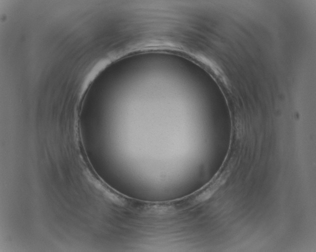 X0000074281374200609081816