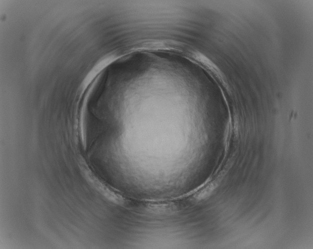 X0000074281378200609081816