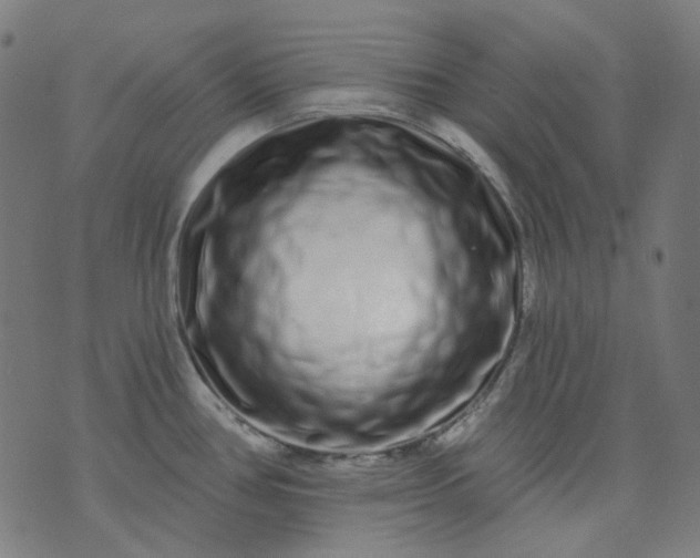 X0000074281386200609081816