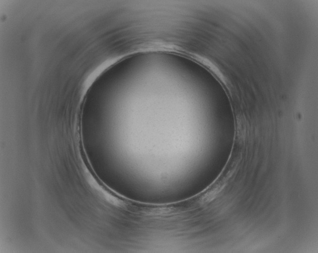 X0000074281387200609081816