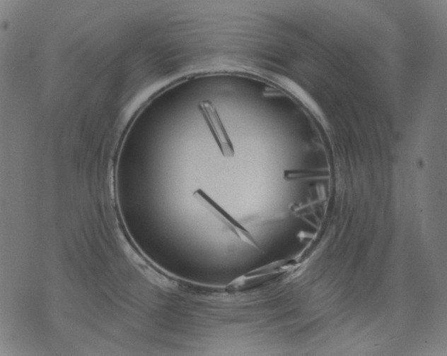 X0000074281388200609081816