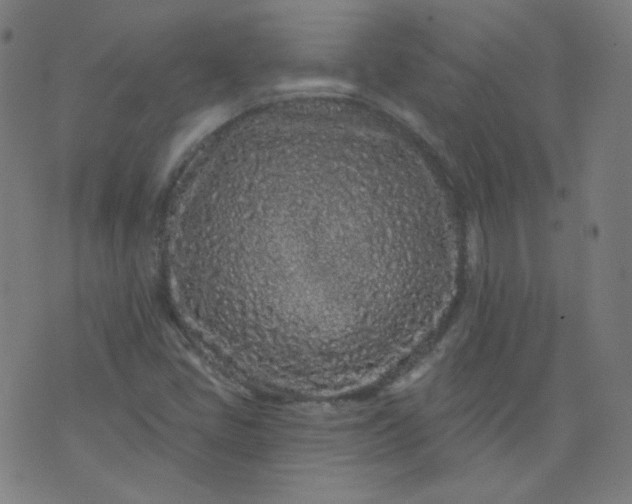 X0000074281405200609081815