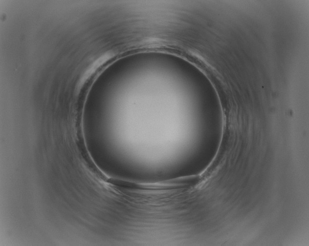 X0000074281410200609081815
