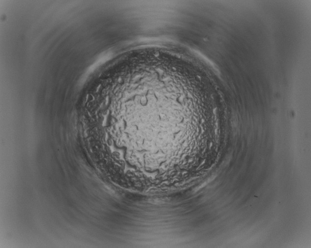 X0000074281411200609081815