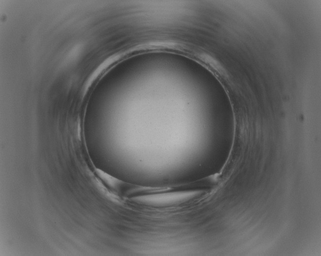 X0000074281420200609081815