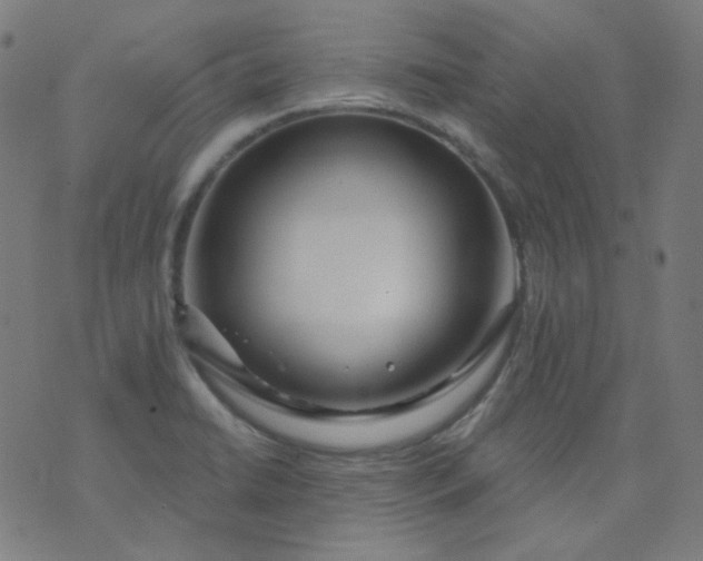 X0000074281422200609081815