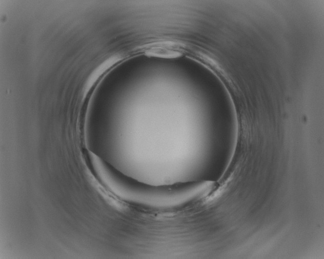X0000074281426200609081816