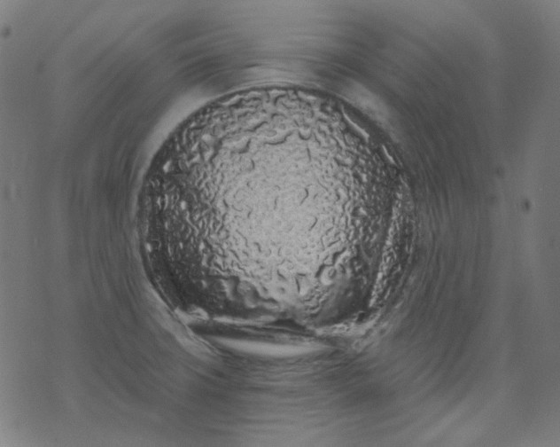 X0000074281427200609081816