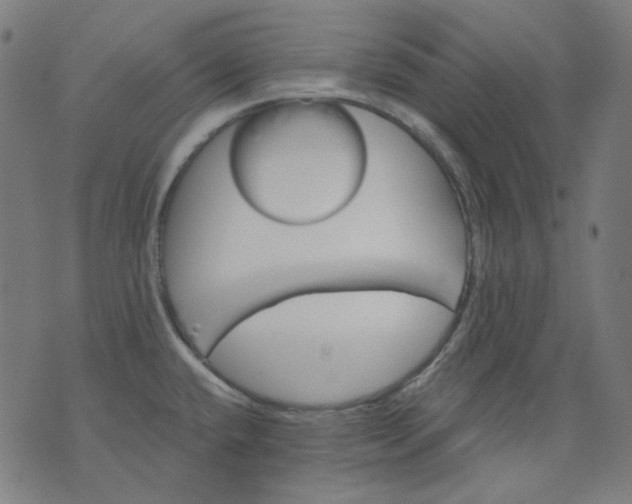 X0000074281432200609081816