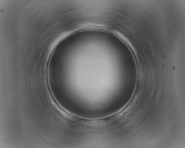 X0000074281437200609081816