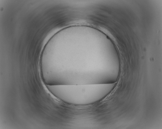 X0000074281440200609081816