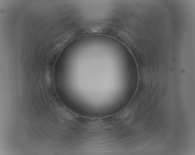X0000074281442200609081815