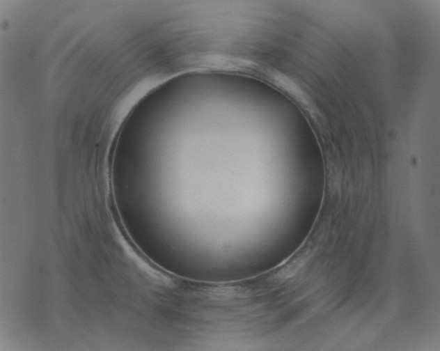 X0000074281479200609081814