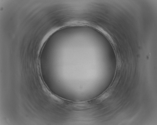 X0000074281486200609081814