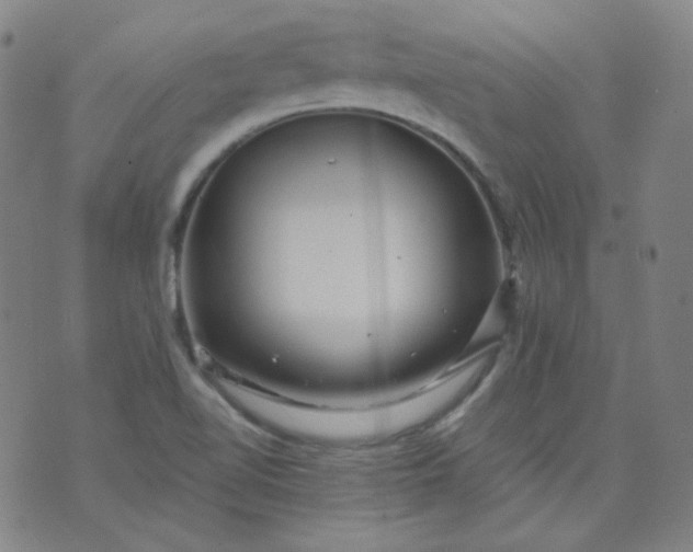 X0000074281510200609081814