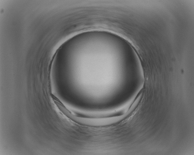 X0000074281534200609081814