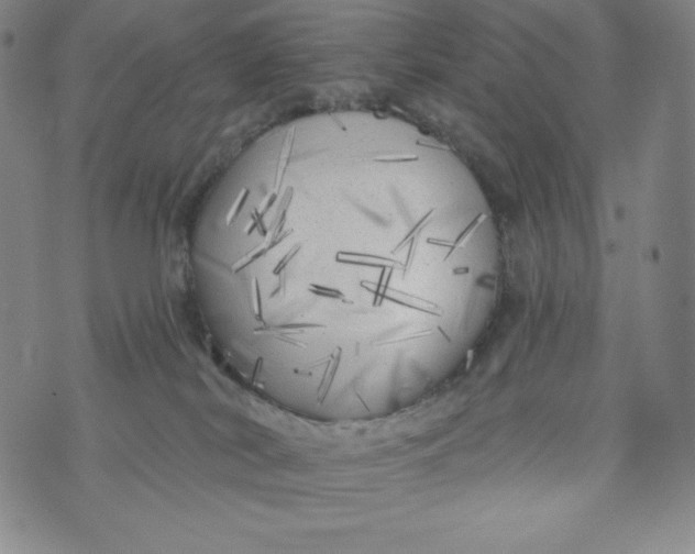 X0000074280038200609151903