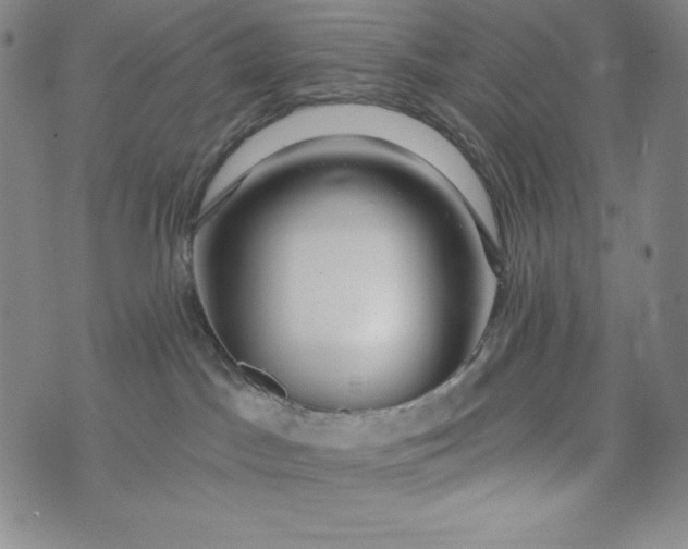 X0000074280045200609151903