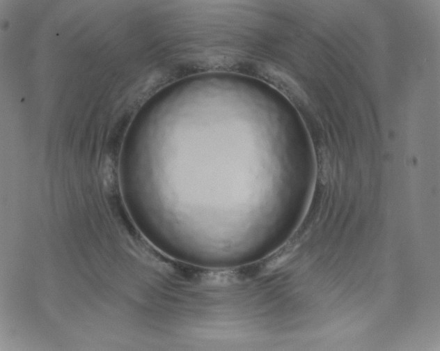 X0000074280077200609151902