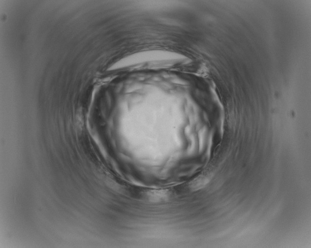X0000074280085200609151902