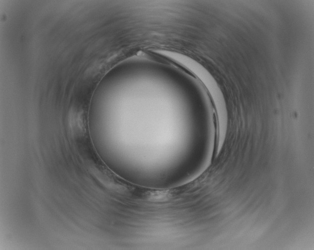 X0000074280088200609151902