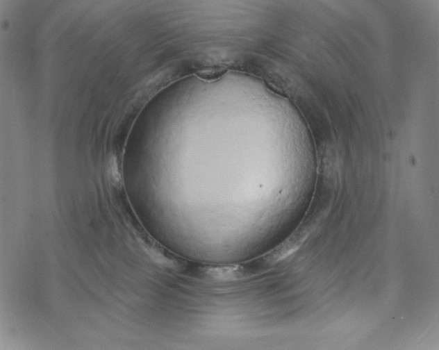X0000074280089200609151902