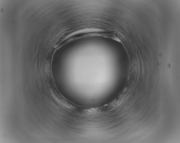X0000074280092200609151902