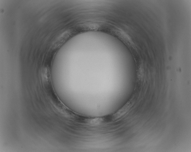 X0000074280122200609151901