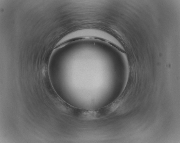 X0000074280125200609151901