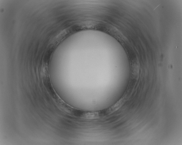 X0000074280126200609151901