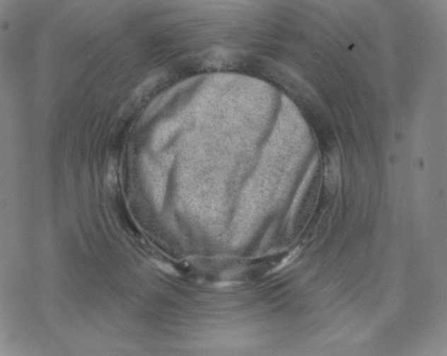 X0000074280127200609151901