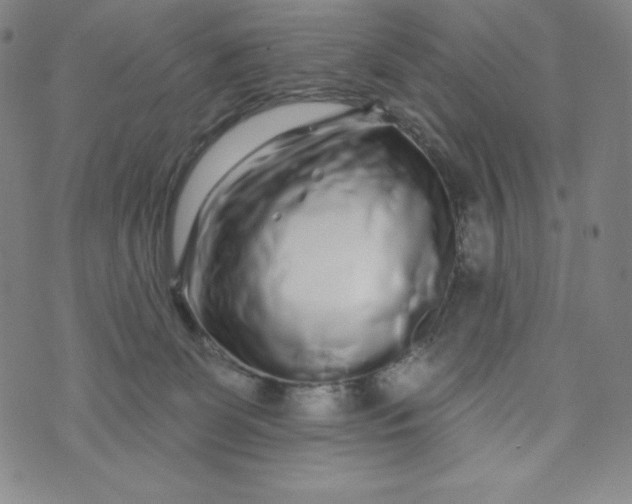 X0000074280131200609151901