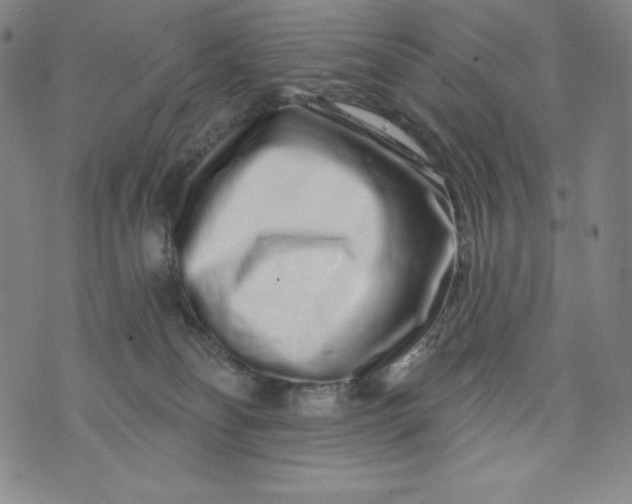 X0000074280134200609151901