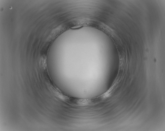 X0000074280142200609151901