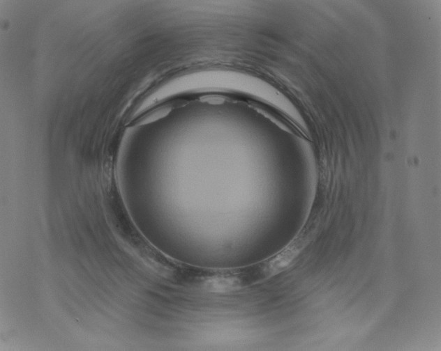 X0000074280168200609151901