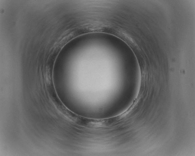 X0000074280170200609151901