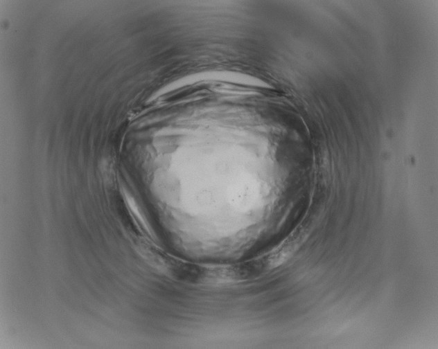 X0000074280177200609151901
