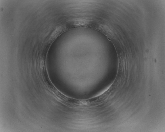 X0000074280227200609151900