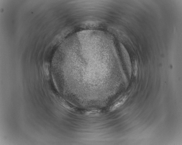 X0000074280232200609151900