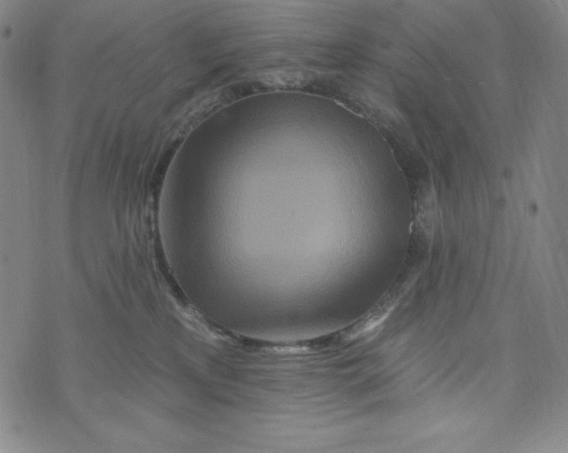 X0000074280233200609151900