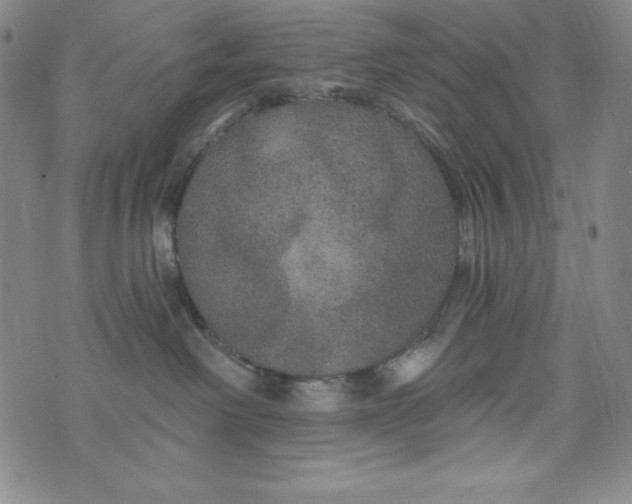 X0000074280238200609151859