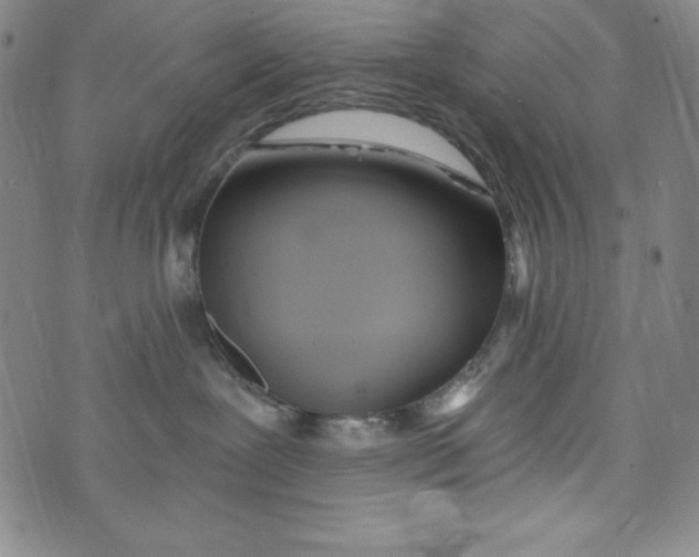 X0000074280239200609151859