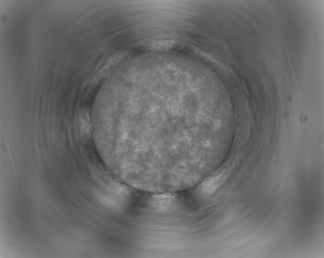 X0000074280240200609151859