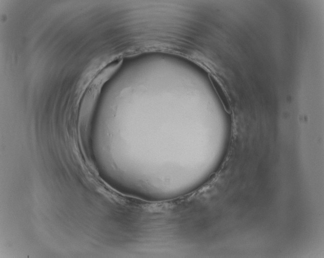 X0000074280241200609151859