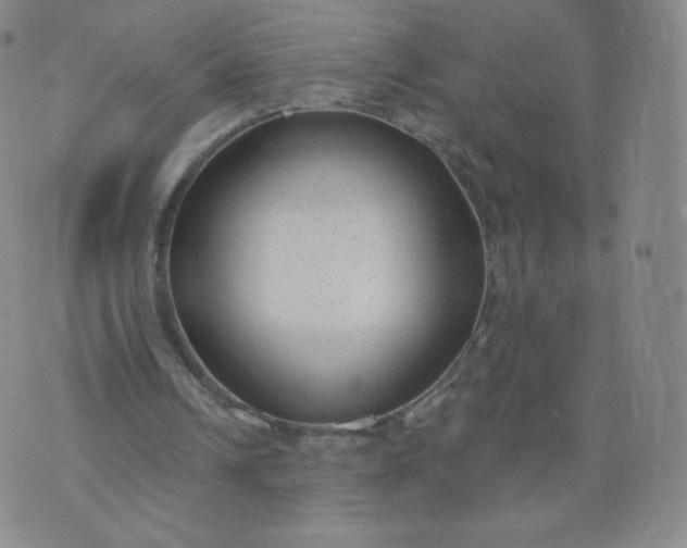 X0000074280242200609151859