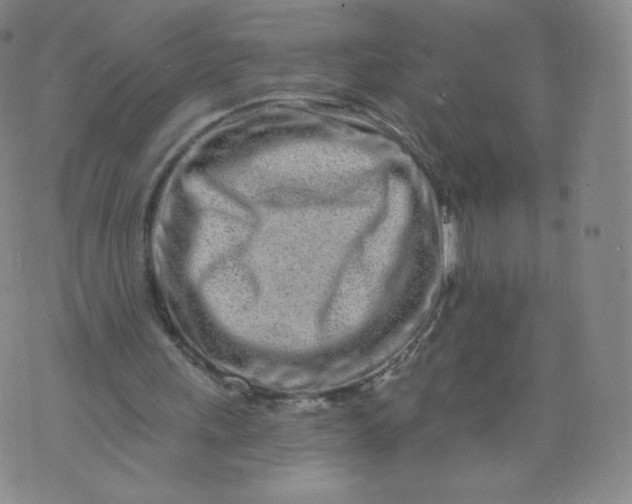 X0000074280243200609151859