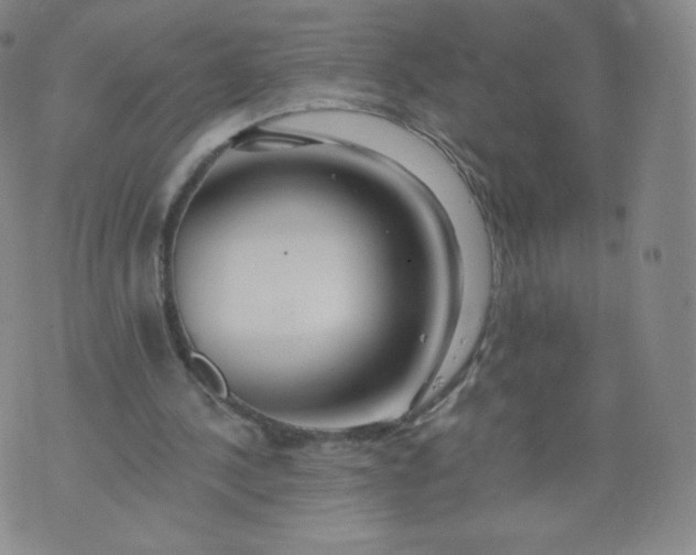 X0000074280244200609151859