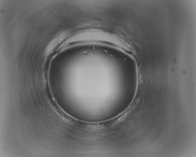 X0000074280245200609151859