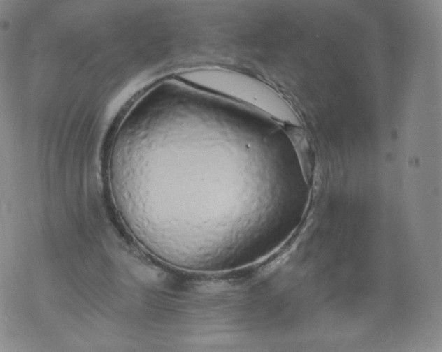 X0000074280246200609151859