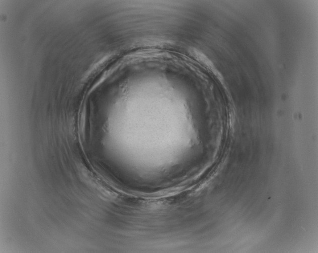 X0000074280249200609151859